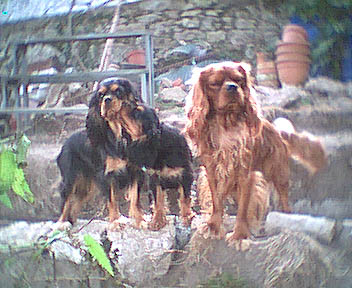 Bisous, bisous !!