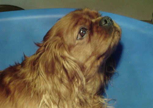 sandy mars2005-2