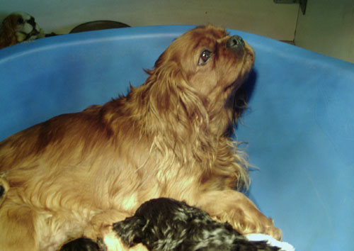 sandy mars2005