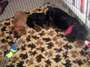 09- sieste