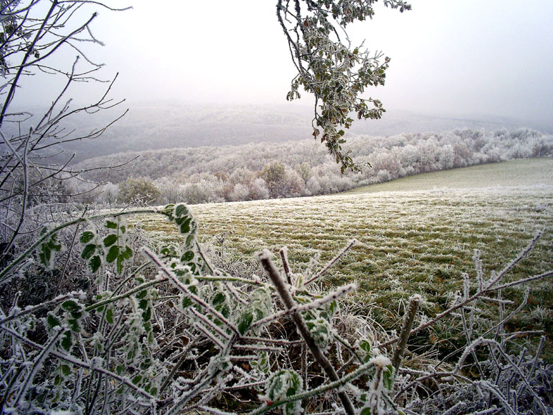 Vie sous le givre