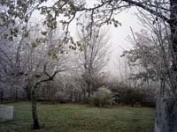 Jardin d'hiver