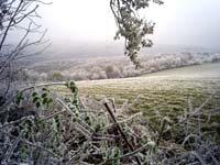 Vie sous le givre